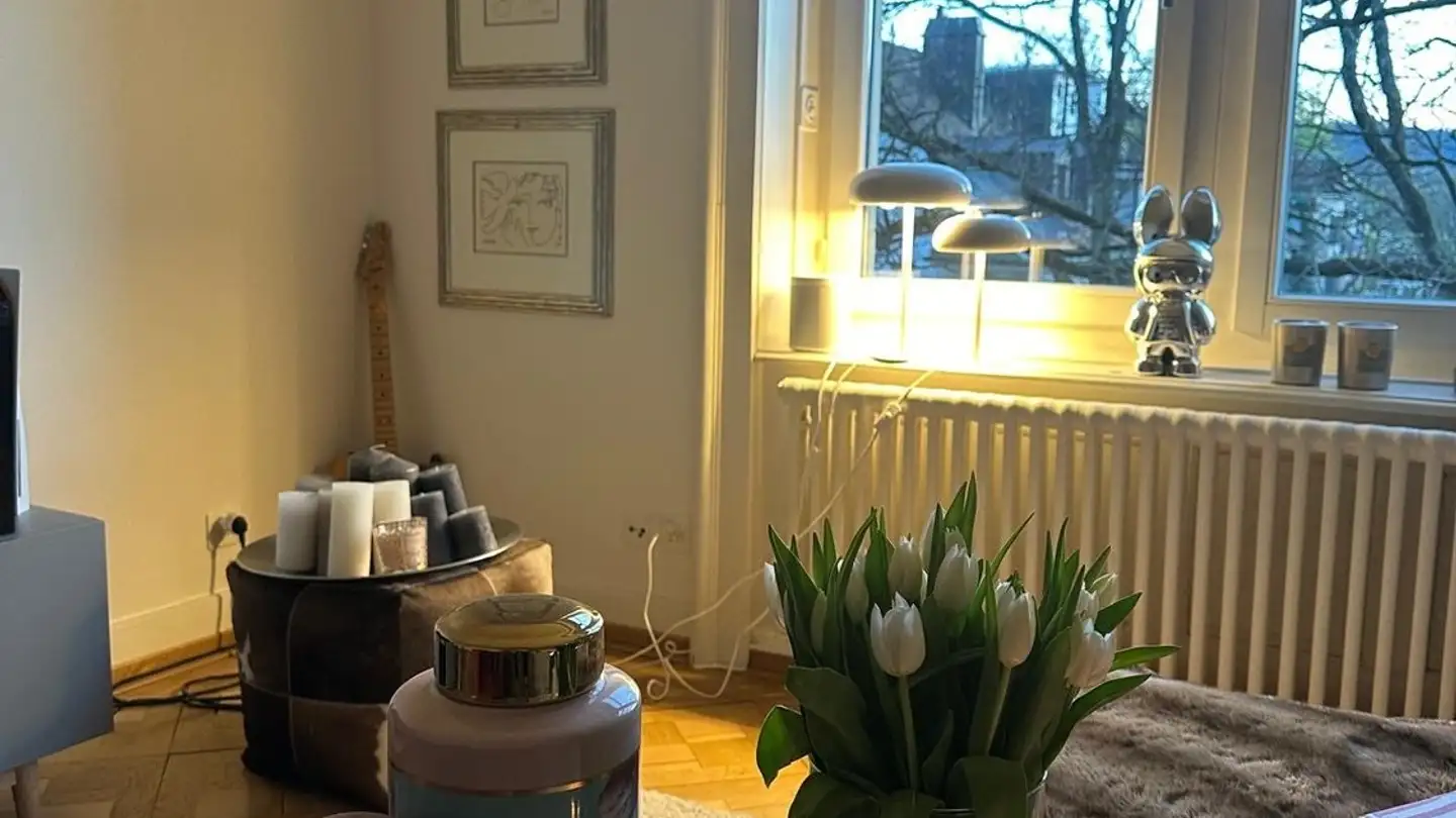 Appartement à louer - Dufourstrasse 169, 8008 Zürich