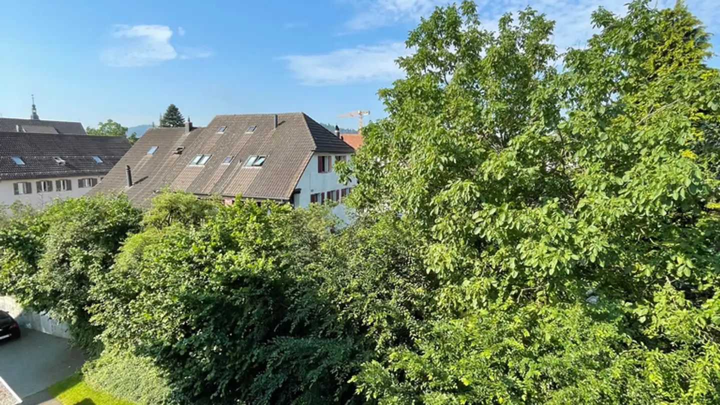 Apartment for rent - Lenzburgerstrasse 16, 5504 Othmarsingen - Photo 4