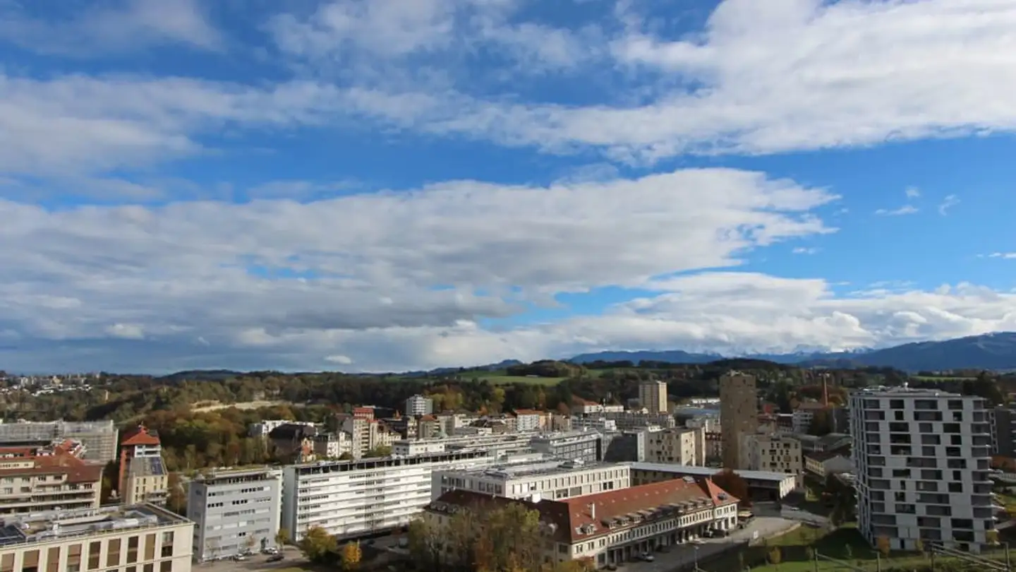 Wohnung kaufen - 1700 Fribourg - Foto 3