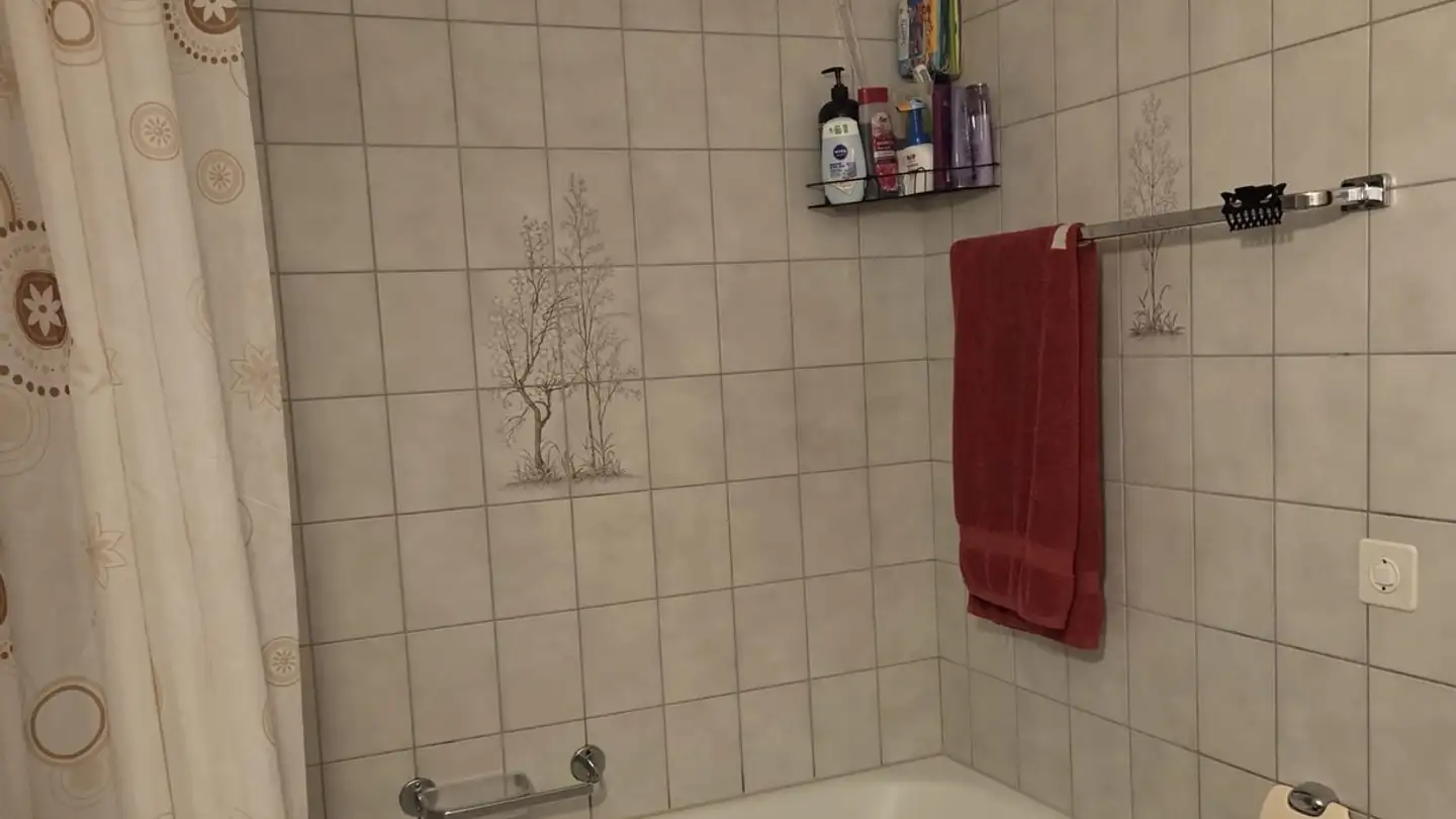 Appartamento in affitto - Eisenburgstrasse 17, 8854 Siebnen - Foto 2