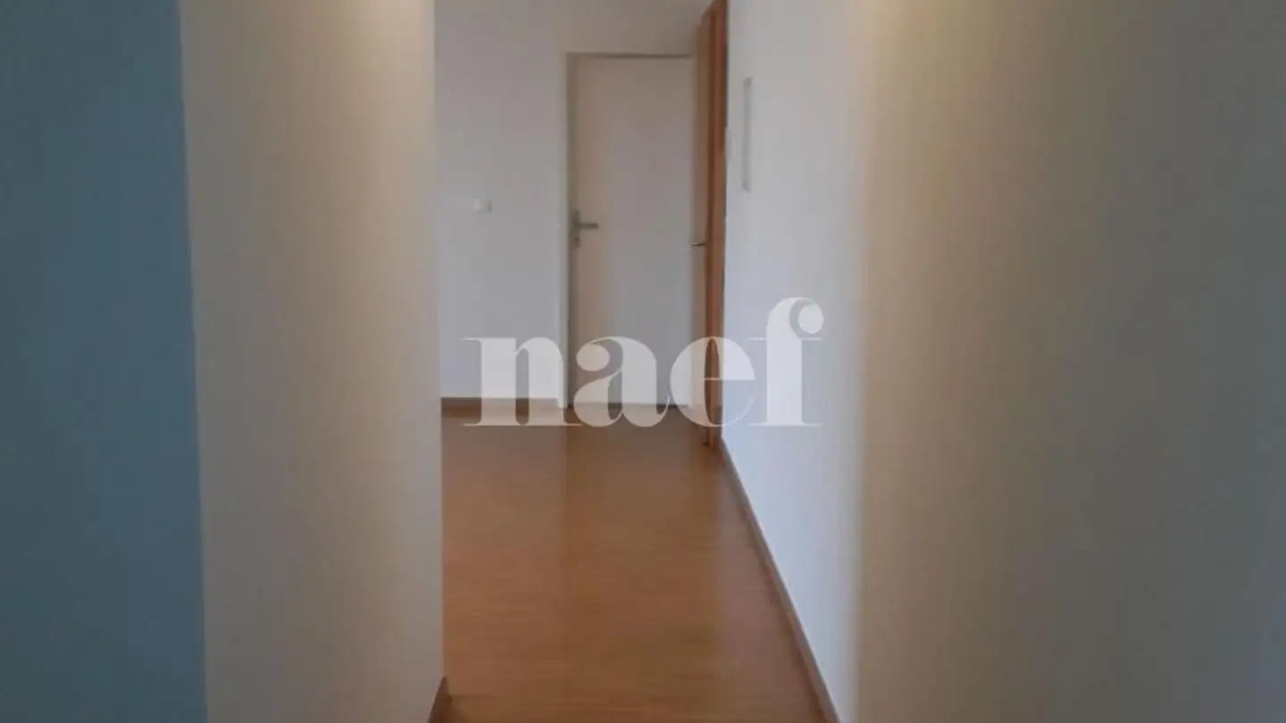 Appartamento in affitto - Route De Ferney 216, 1218 Le Grand-Saconnex - Foto 2