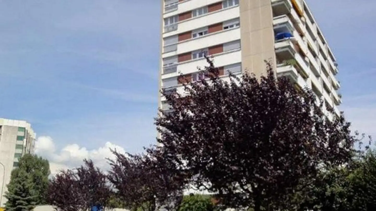 Appartamento in affitto - Route De La Plaine 5, 1022 Chavannes-près-Renens - Foto 2