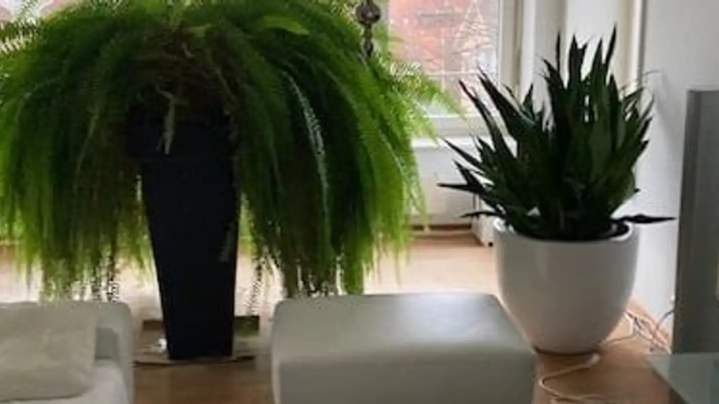 Duplex for rent - Aegertenstrasse 22, 4118 Rodersdorf - Photo 4