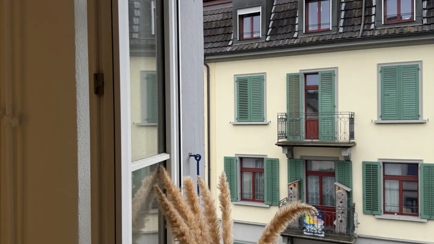 Stanza singola in affitto - 6003 Luzern - Foto 4