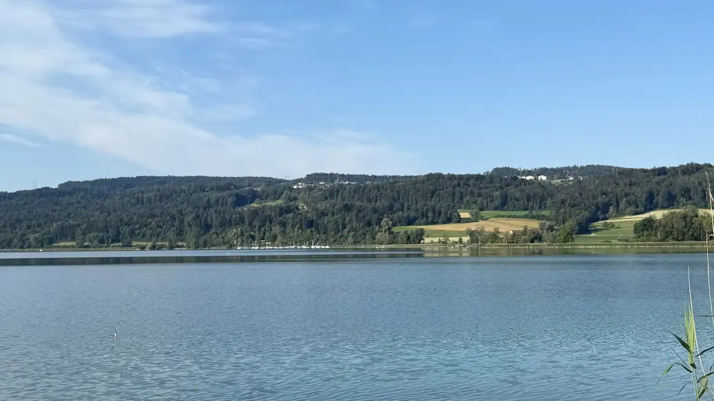 Apartment for sale - Stationsstrasse 12, 8606 Greifensee - Photo 3