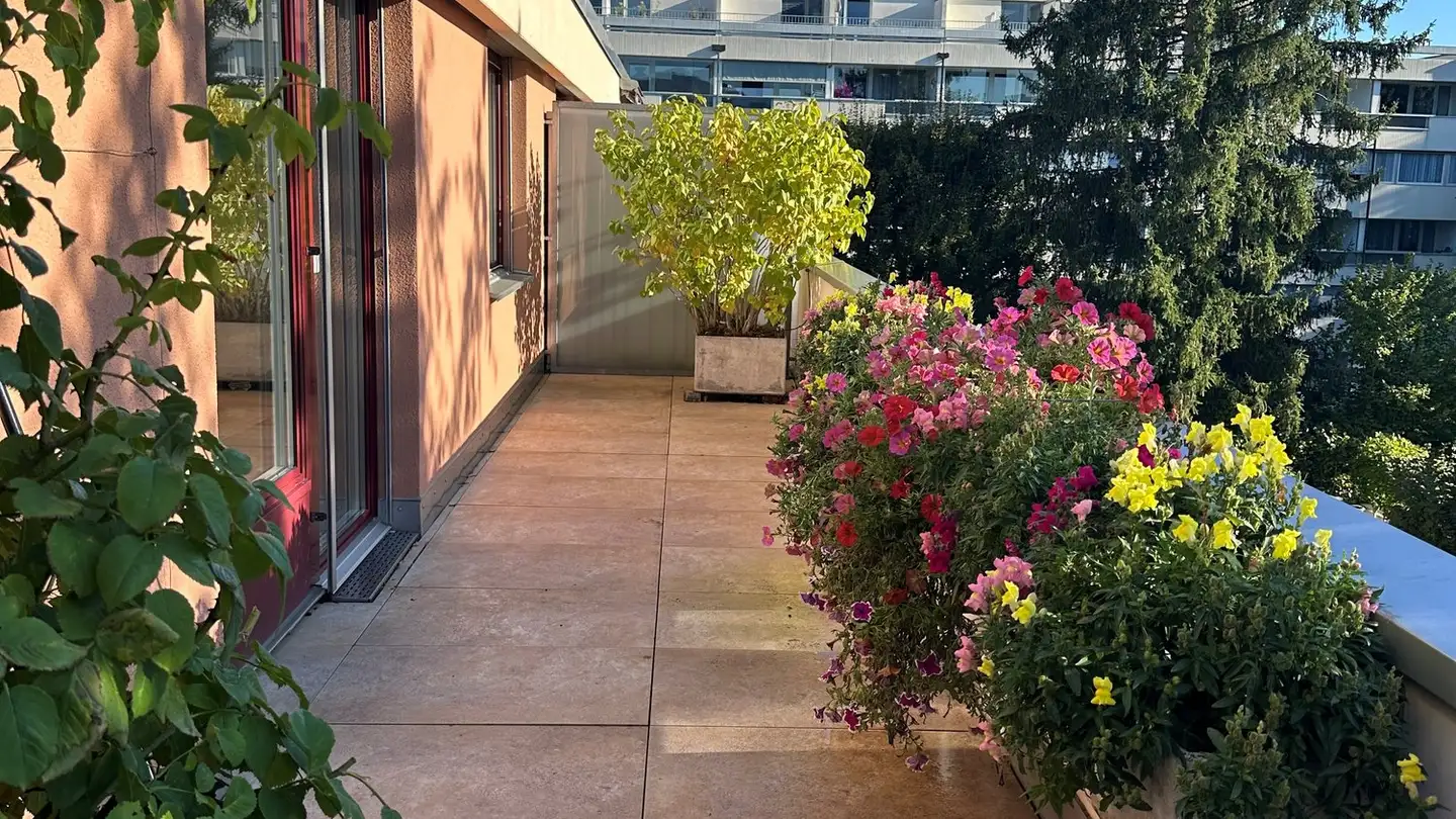 Attique à vendre - Mischelistrasse 15, 4153 Reinach BL