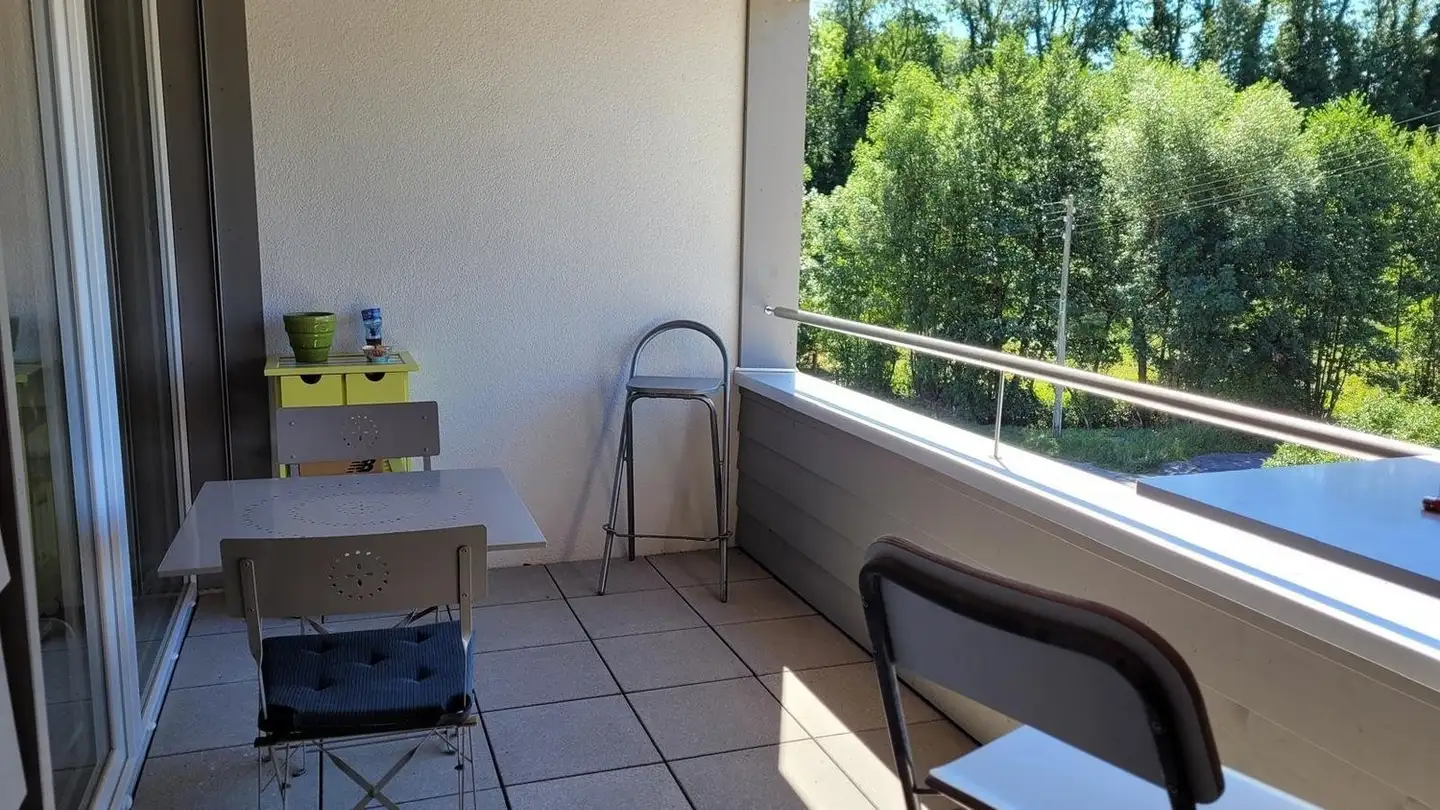 Appartamento in affitto - Chemin Des Chaux, 1070 Puidoux - Photo 3