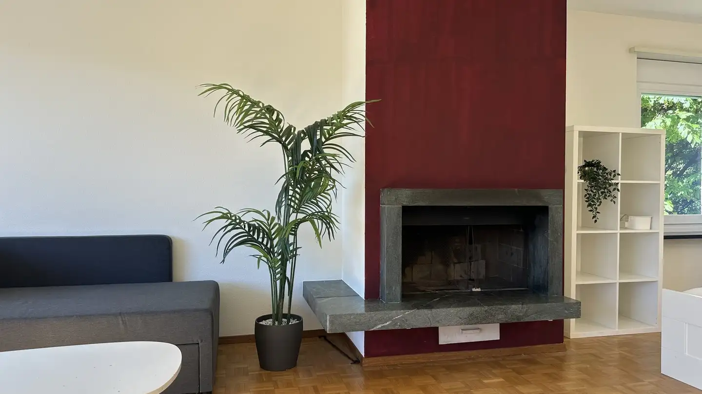 Stanza singola in affitto - 8001 Zürich