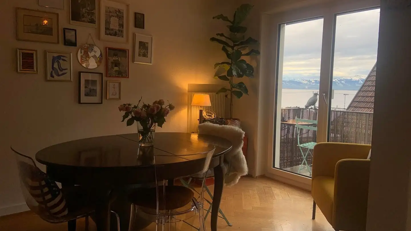 Appartamento in affitto - Seestrasse 79, 8820 Wädenswil - Foto 3