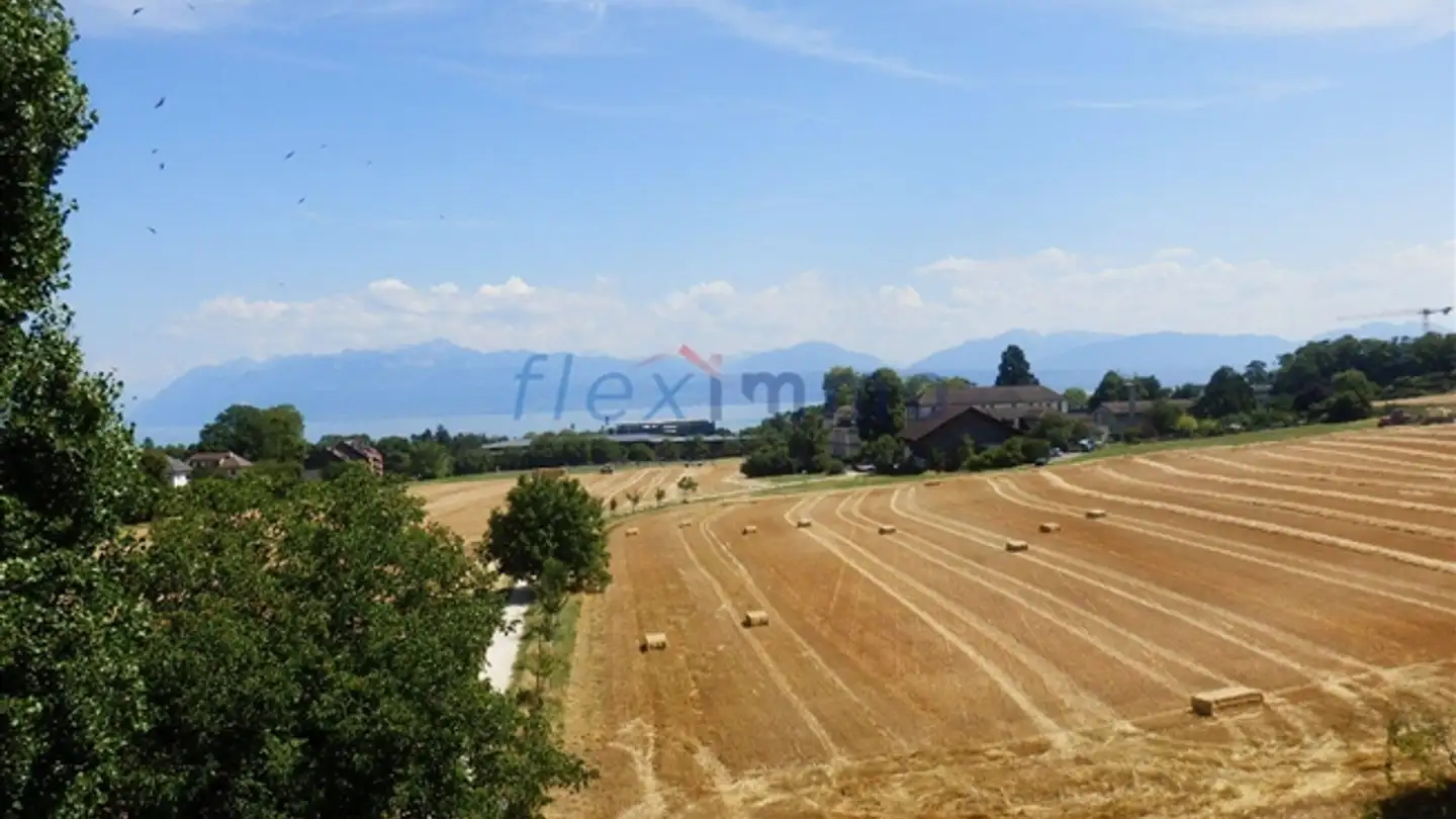 Apartment for sale - 1110 Morges - Photo 2