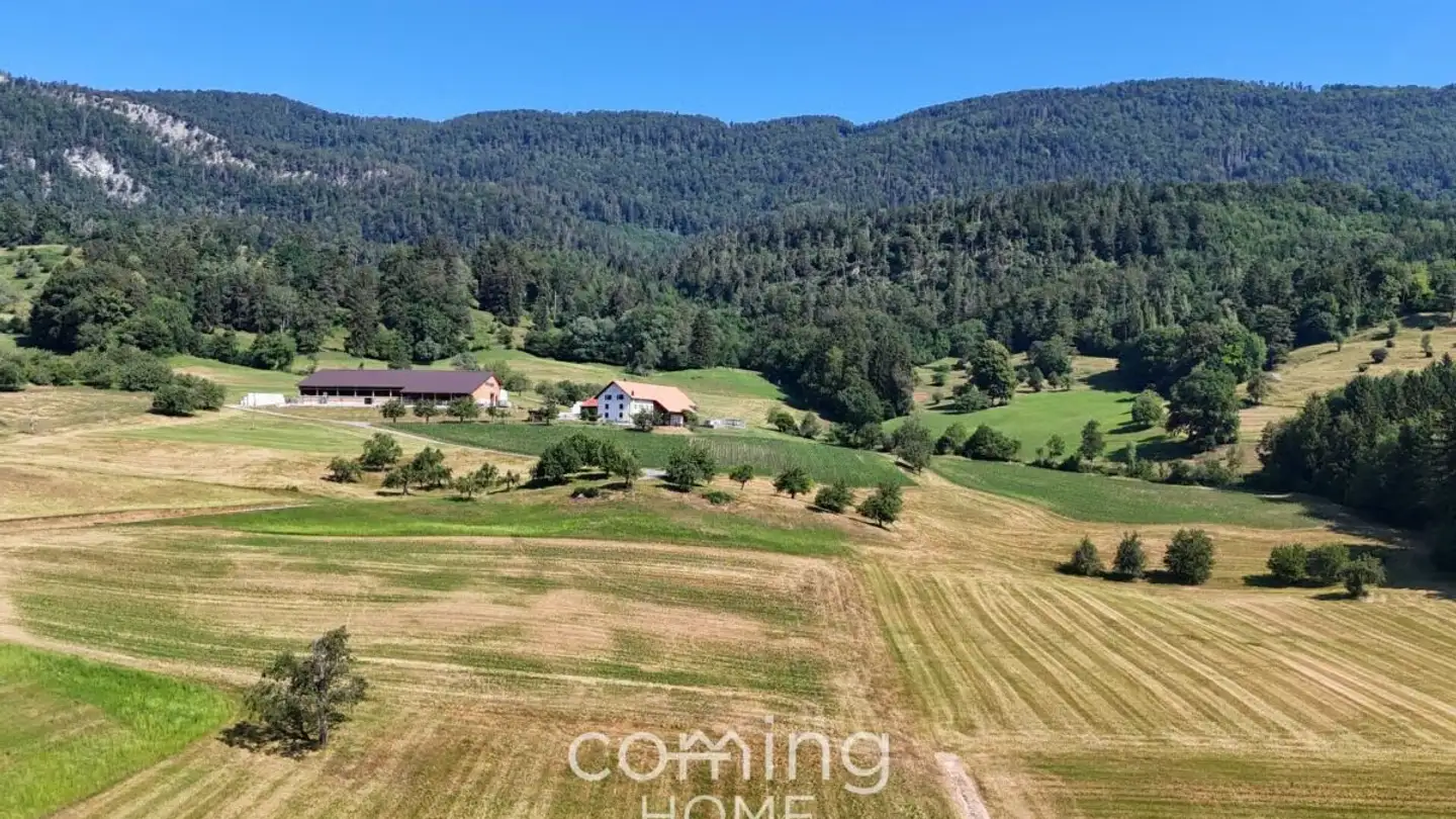 Constructible plot for sale - 4714 Aedermannsdorf - Photo 4
