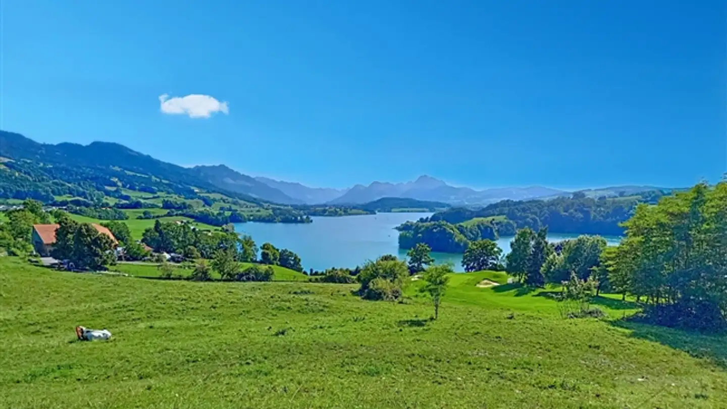 Villa à vendre - Route de Fribourg, 1634 La Roche FR