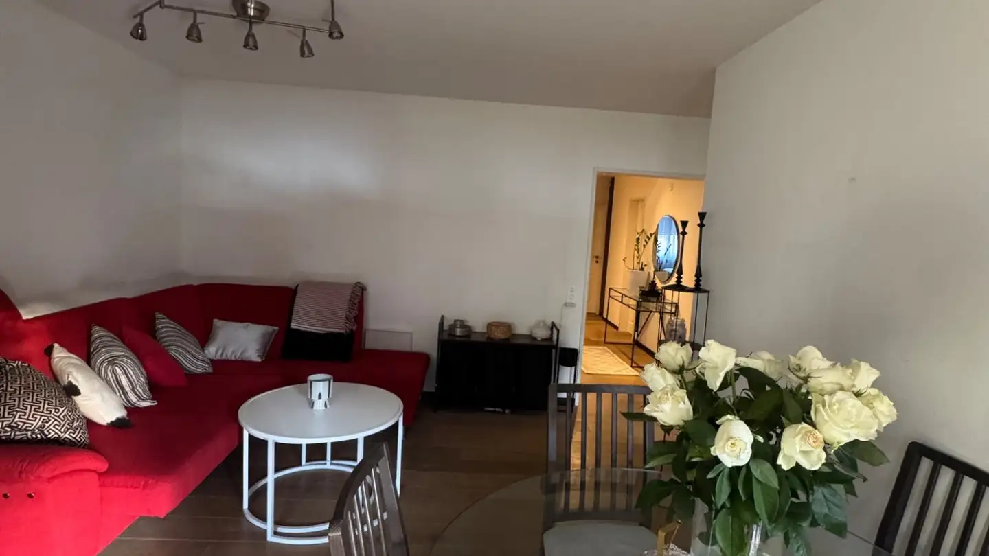 Chambre à louer - Brüggliäcker 35, 8050 Zürich - Photo 4