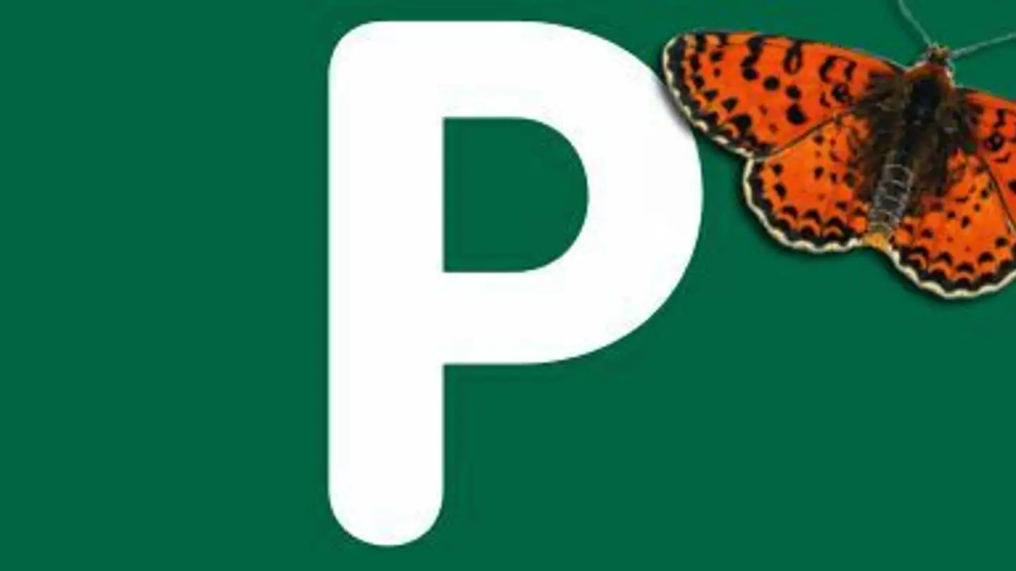 Outdoor parking space for rent - Route De Fribourg 1, 1721 Misery