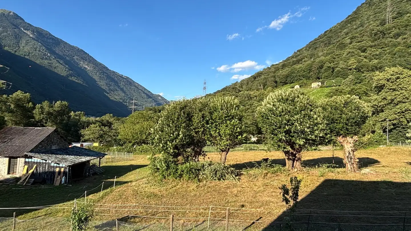 Appartement à louer - Via Gesero 43, 6517 Arbedo - Photo 2