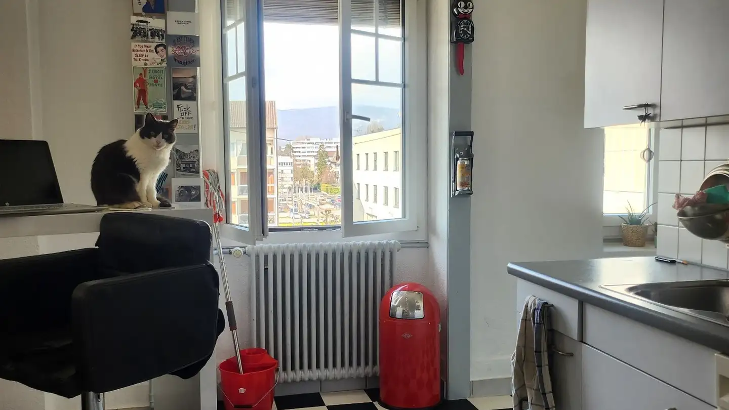 Apartment for rent - Rue Juste-Olivier, 1260 Nyon - Photo 3