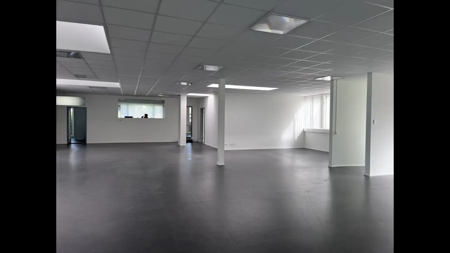 Gewerbe mieten - Winkelstrasse 12, 6048 Horw - Foto 2