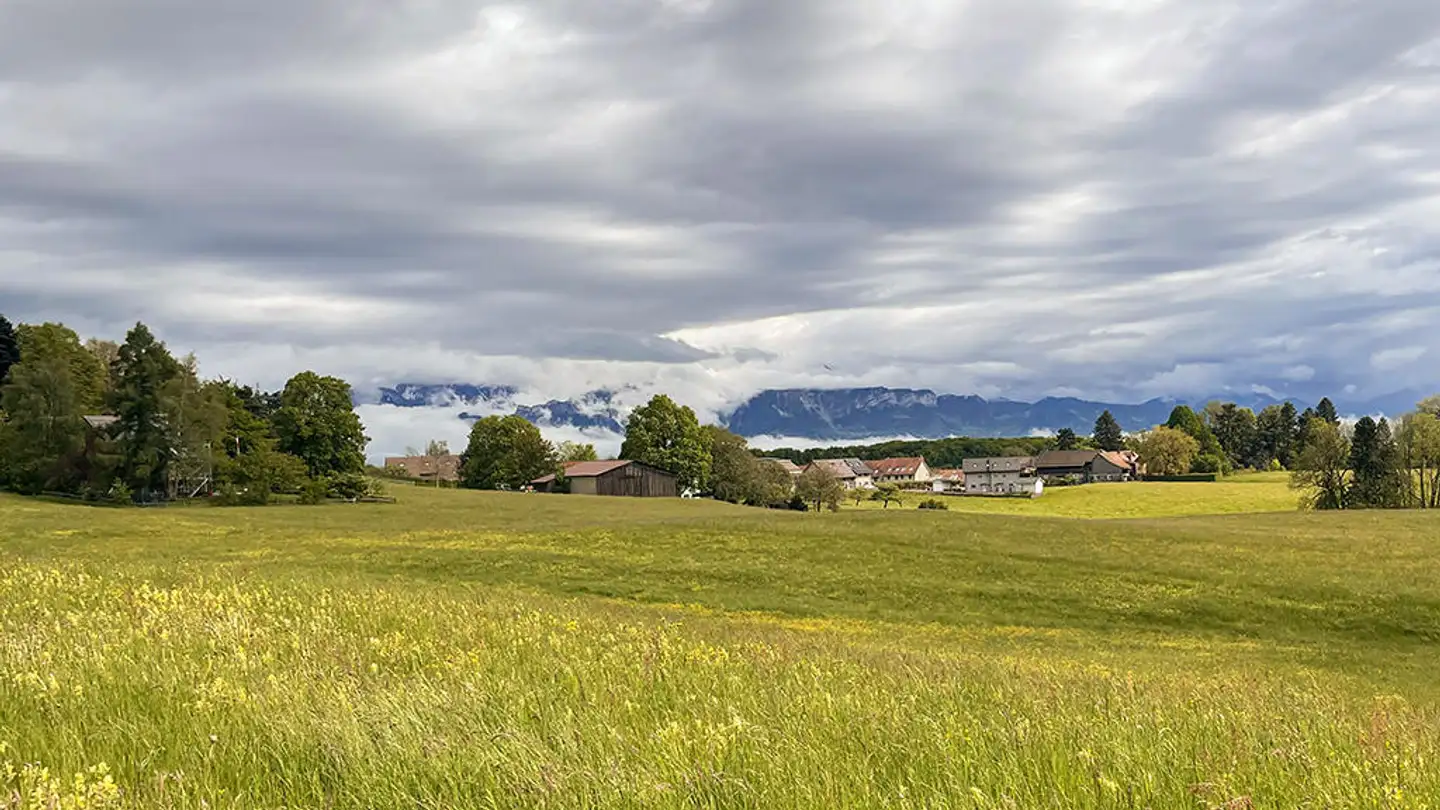 Fattoria in vendita - 1066 Epalinges - Foto 3