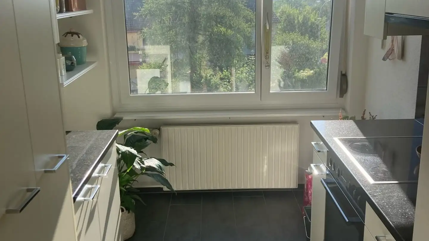 Appartamento in affitto - Zelgstrasse 72, 8134 Adliswil - Photo 2