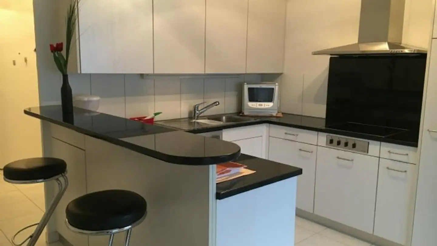 Appartamento ammobiliato in affitto - Rosengartenstrasse, 8107 Buchs ZH - Photo 2