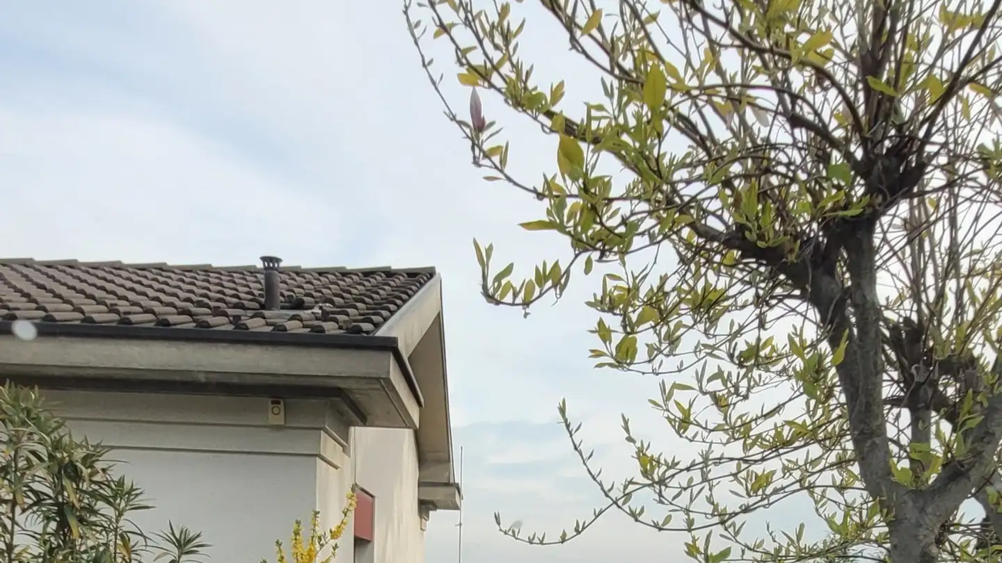 Casa singola in vendita - 6850 Mendrisio - Foto 2