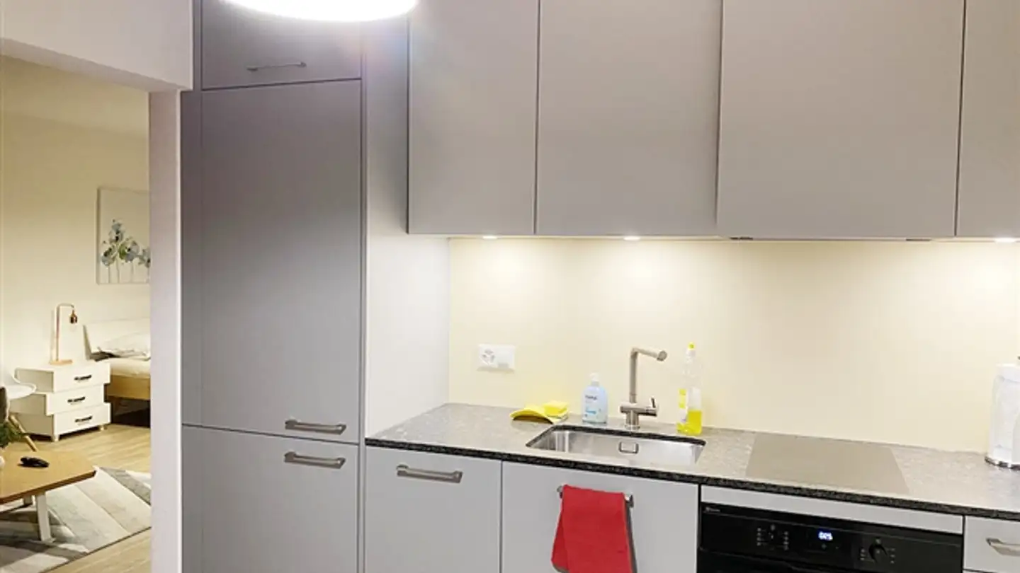 Appartamento ammobiliato in affitto - Ueberlandstrasse 465, 8051 Zürich - Photo 4