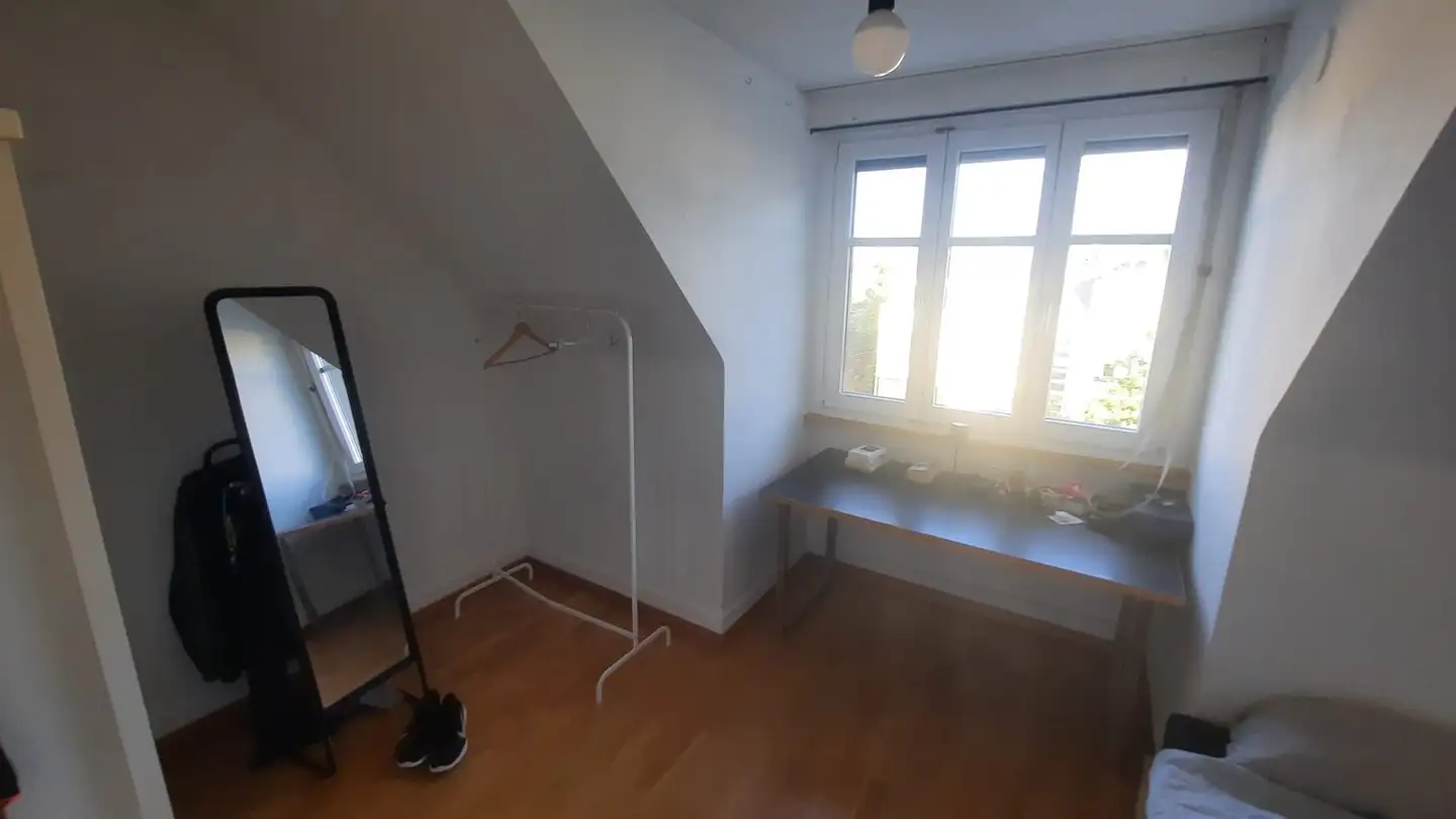 Chambre à louer - Albisriederstrasse 268, 8047 Zürich - Photo 2