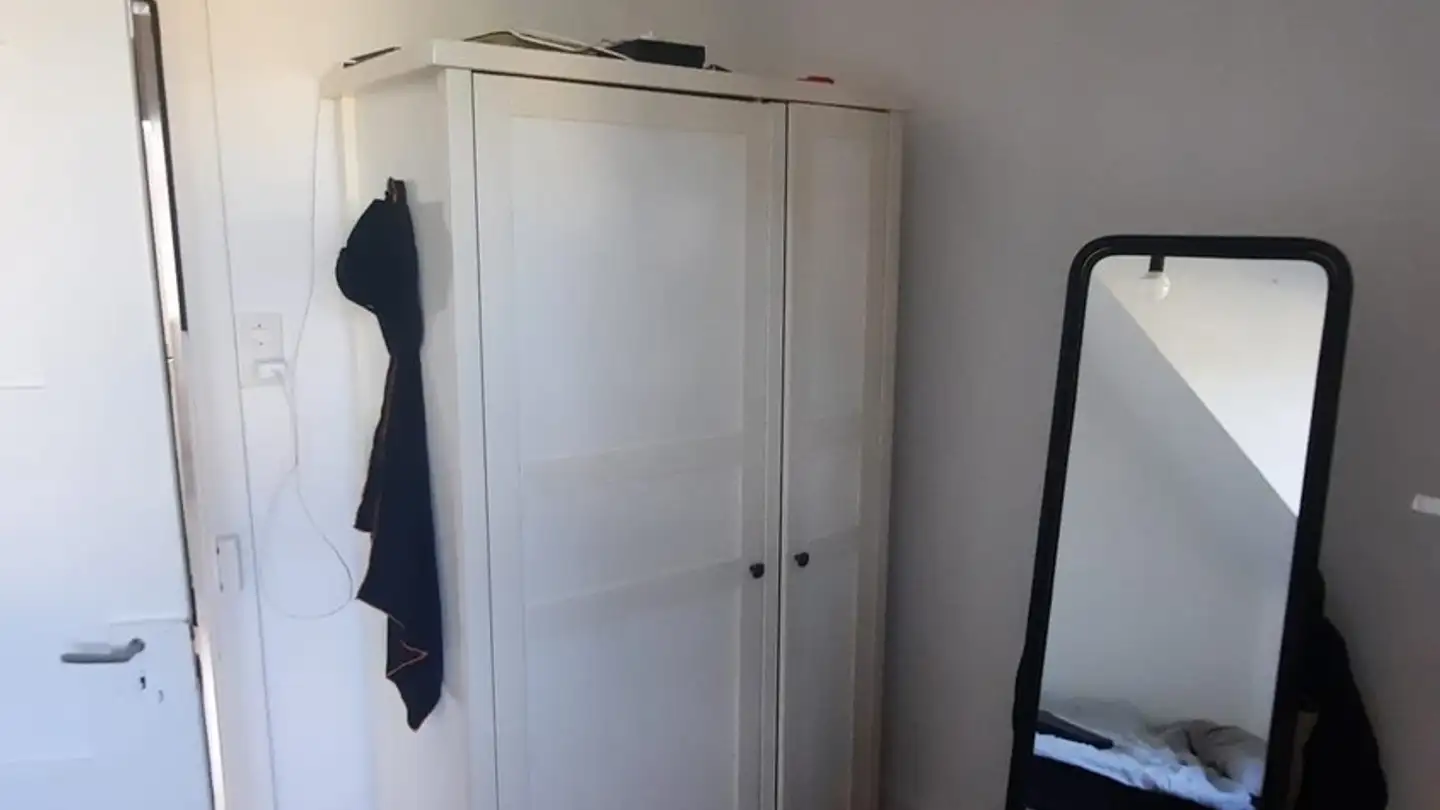Chambre à louer - Albisriederstrasse 268, 8047 Zürich - Photo 3