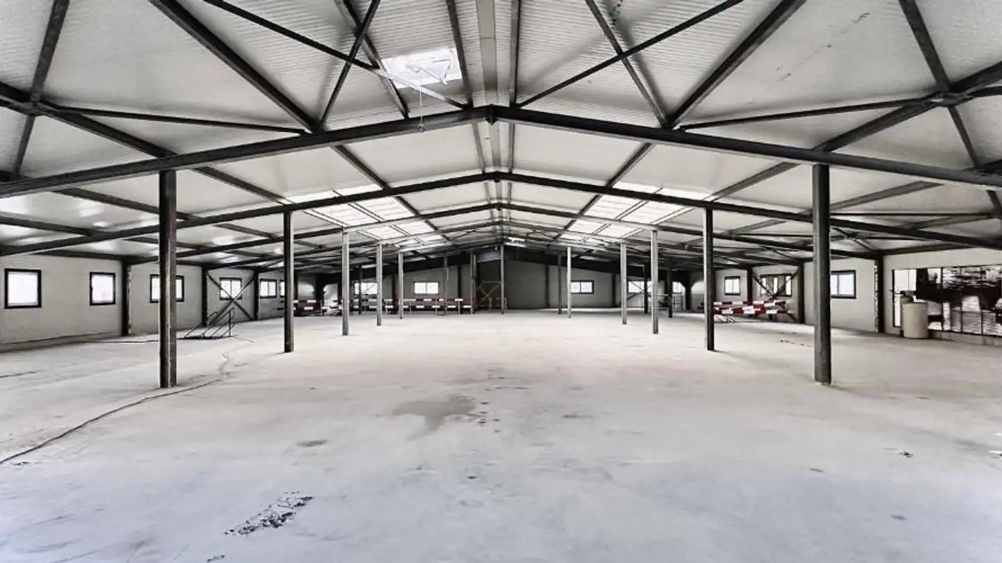 Commercial for sale - 1950 Sion