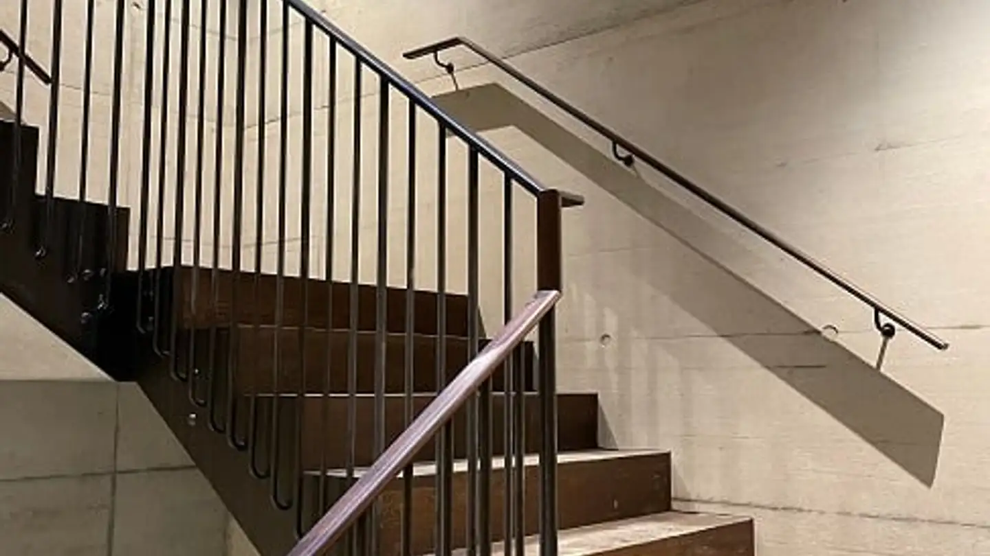 Studio for rent - Singerweg 2, 4052 Basel - Photo 2