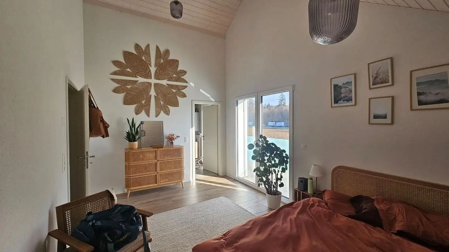 Attico in affitto - Chemin De Mont-Riond 14b, 1031 Mex VD - Foto 4