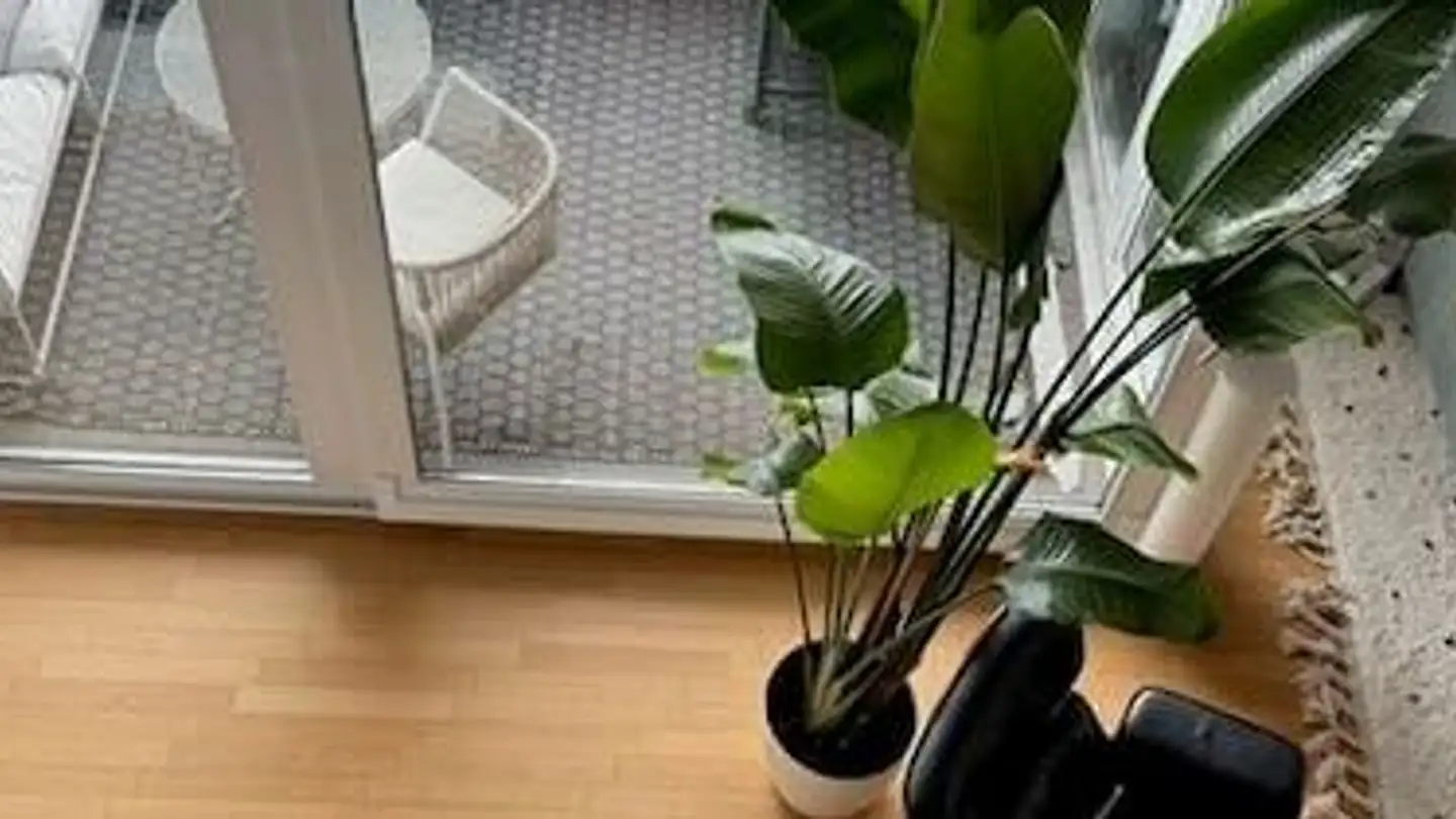 Duplex for rent - Felseneggstrasse 2, 8700 Küsnacht ZH - Photo 2