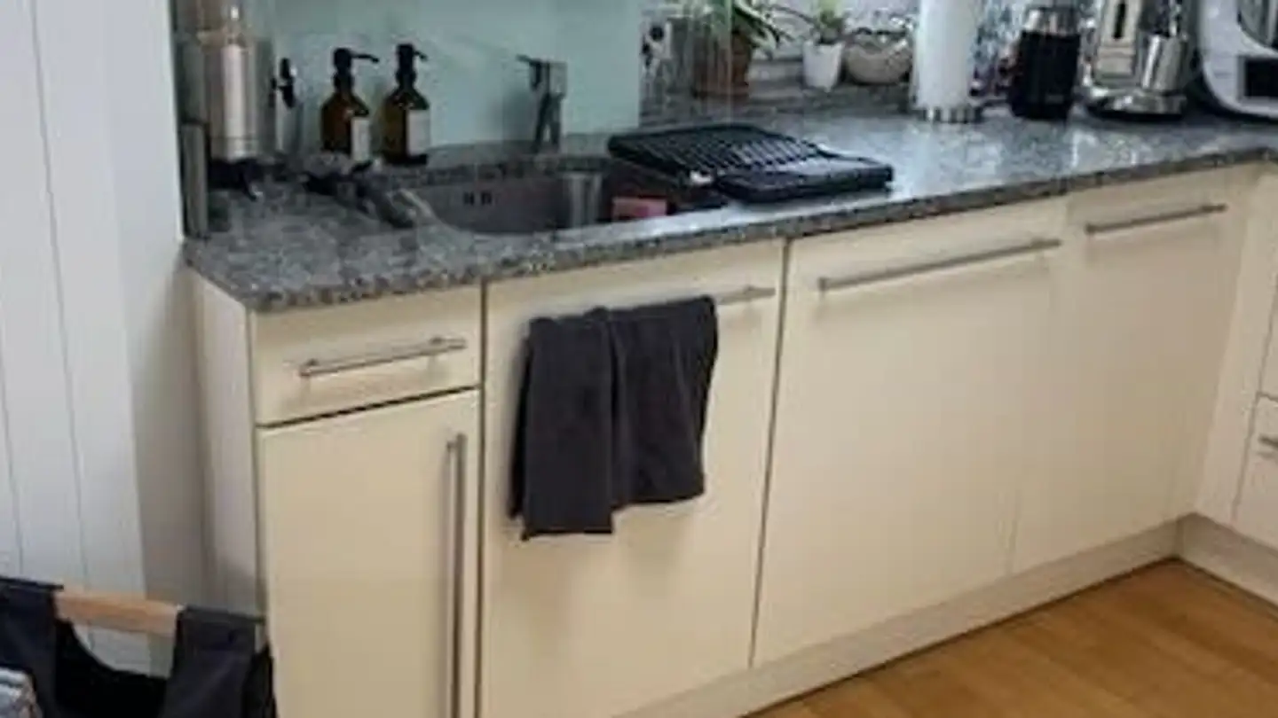 Duplex for rent - Felseneggstrasse 2, 8700 Küsnacht ZH - Photo 4