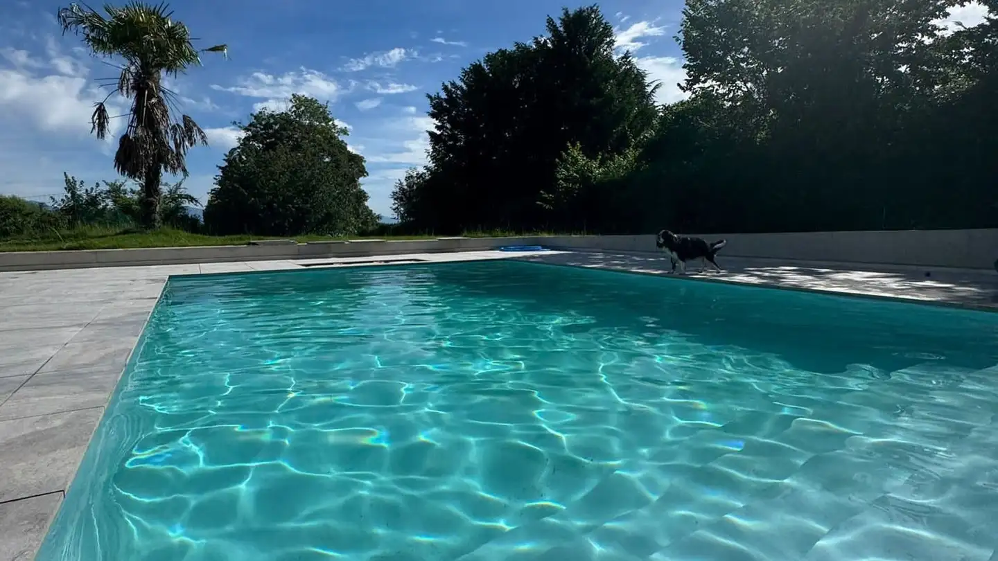 Penthouse for rent - Chemin De Mont-Riond 14b, 1031 Mex VD