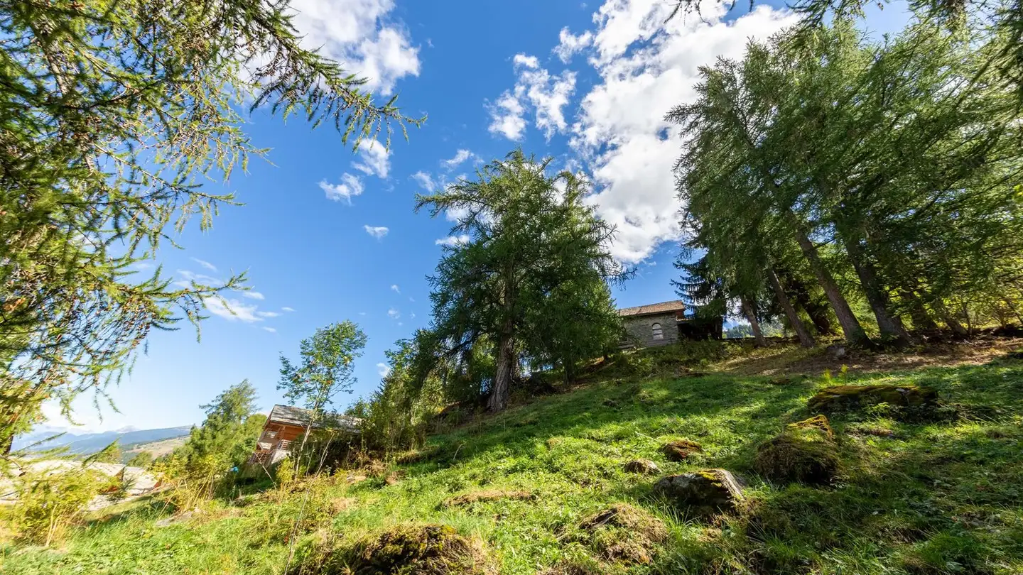 Chalet kaufen - Chemin Des Veillâs, 1997 Haute-Nendaz - Foto 3