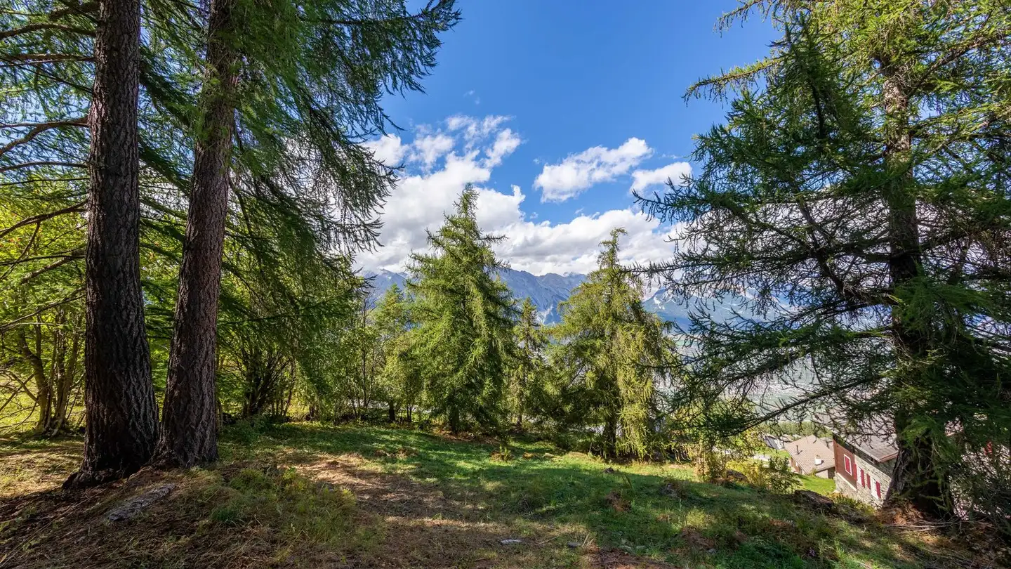 Chalet kaufen - Chemin Des Veillâs, 1997 Haute-Nendaz - Foto 4