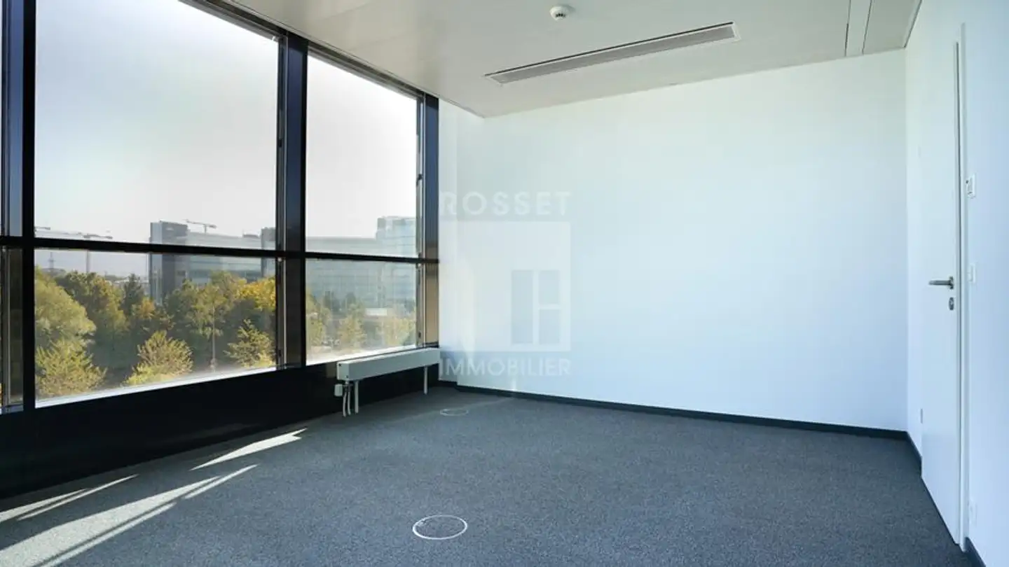 Bureau à louer - Chemin Des Papillons 4, 1216 Cointrin