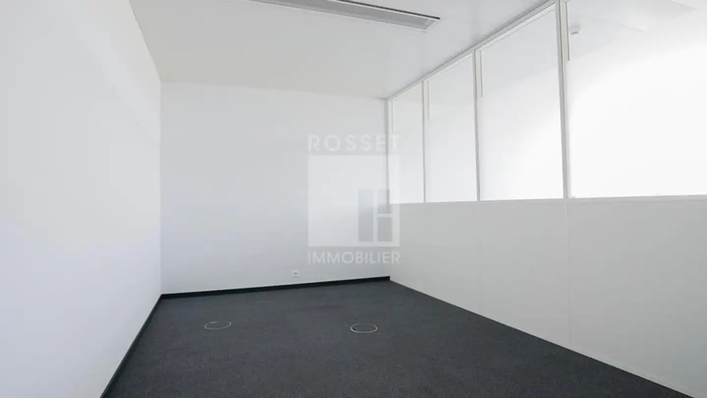 Spazio ufficio in affitto - Chemin Des Papillons 4, 1216 Cointrin - Photo 2