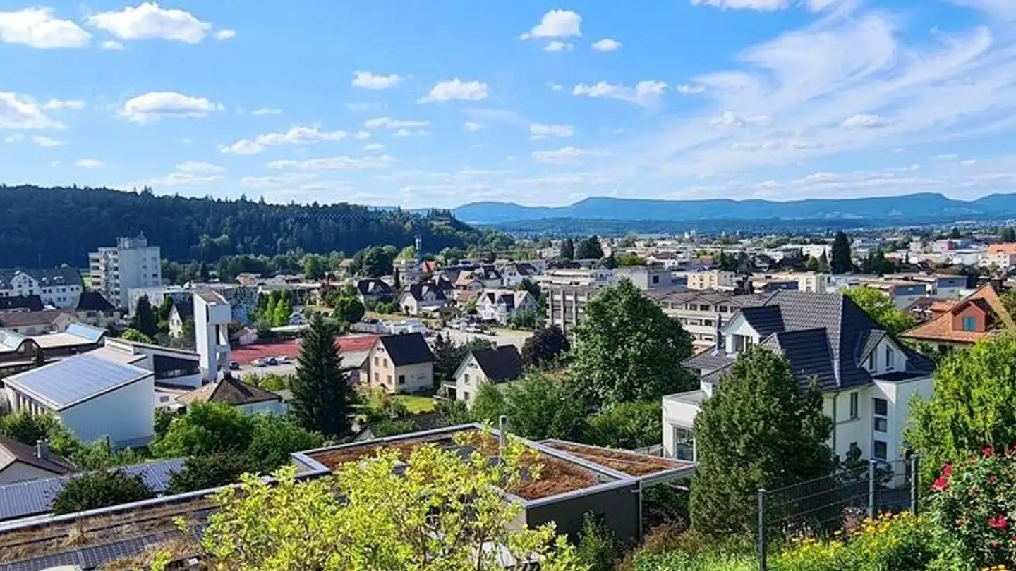 Maison individuelle à vendre - Höhenweg 3, 5040 Schöftland - Photo 2