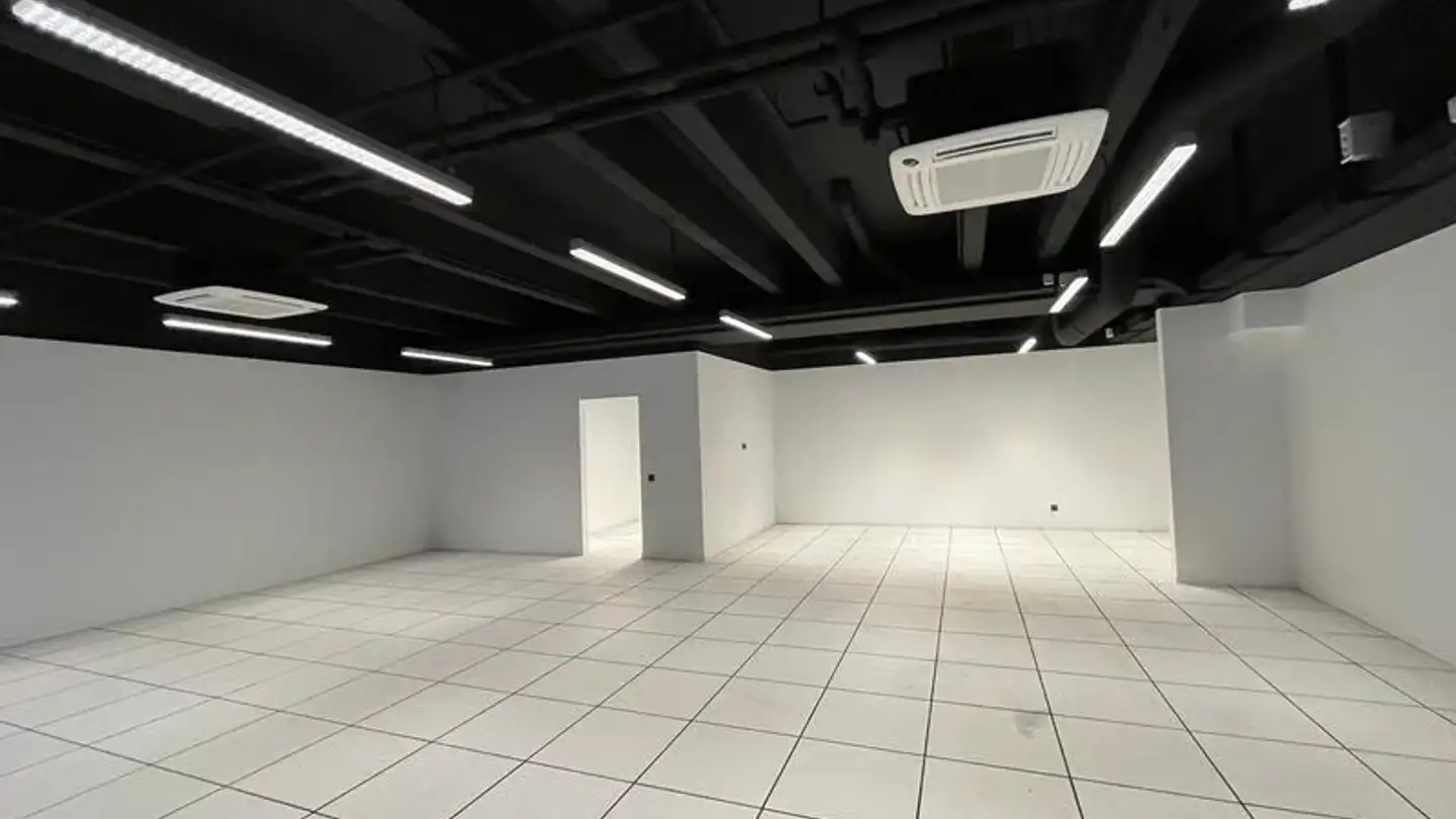 Mixed-use building for rent - Via Del Carmagnola 12, 6517 Arbedo - Photo 2