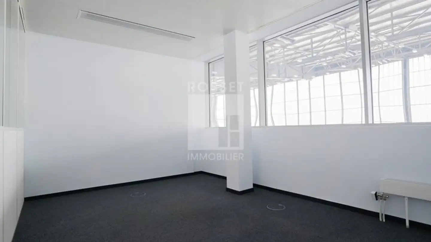 Spazio ufficio in affitto - Chemin Des Papillons 4, 1216 Cointrin - Photo 3