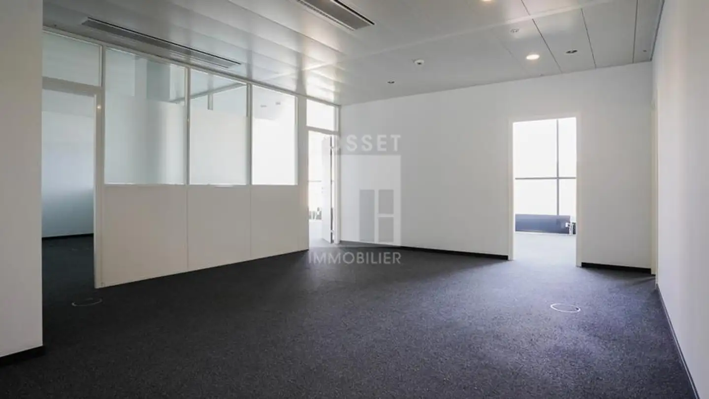 Spazio ufficio in affitto - Chemin Des Papillons 4, 1216 Cointrin - Photo 4