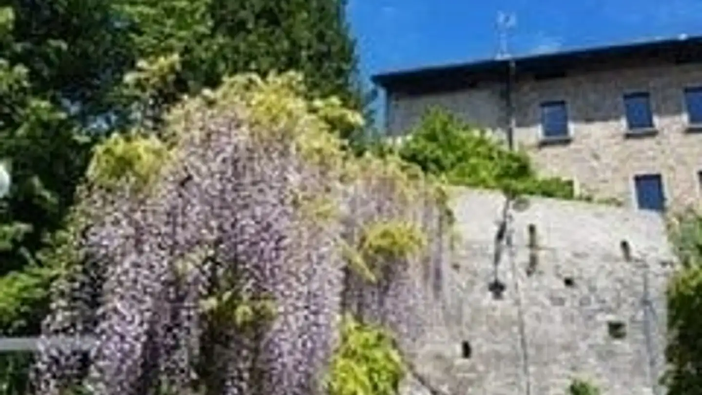 Appartement à louer - In Gradisceta 1, 6986 Curio - Photo 2