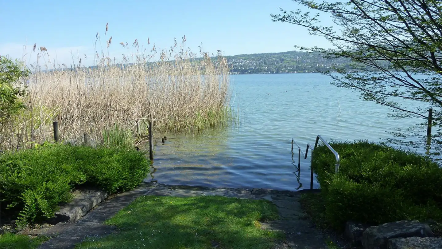 Appartement à louer - Seestrasse 25, 8810 Horgen