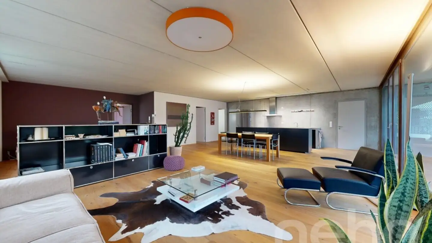 Loft in vendita - 8805 Richterswil