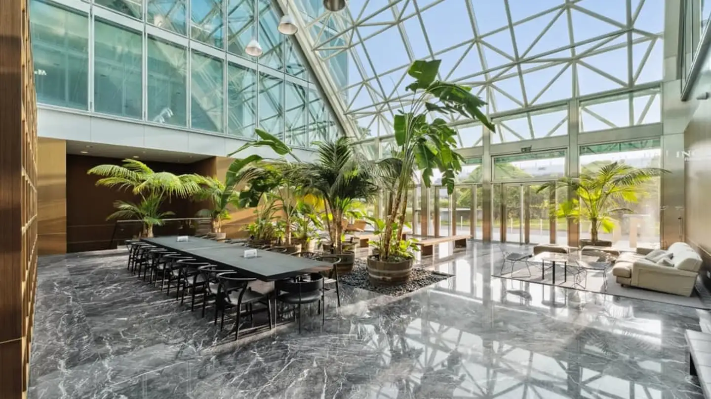 Commercial à louer - Avenue Des Morgines 8, 1213 Petit-Lancy