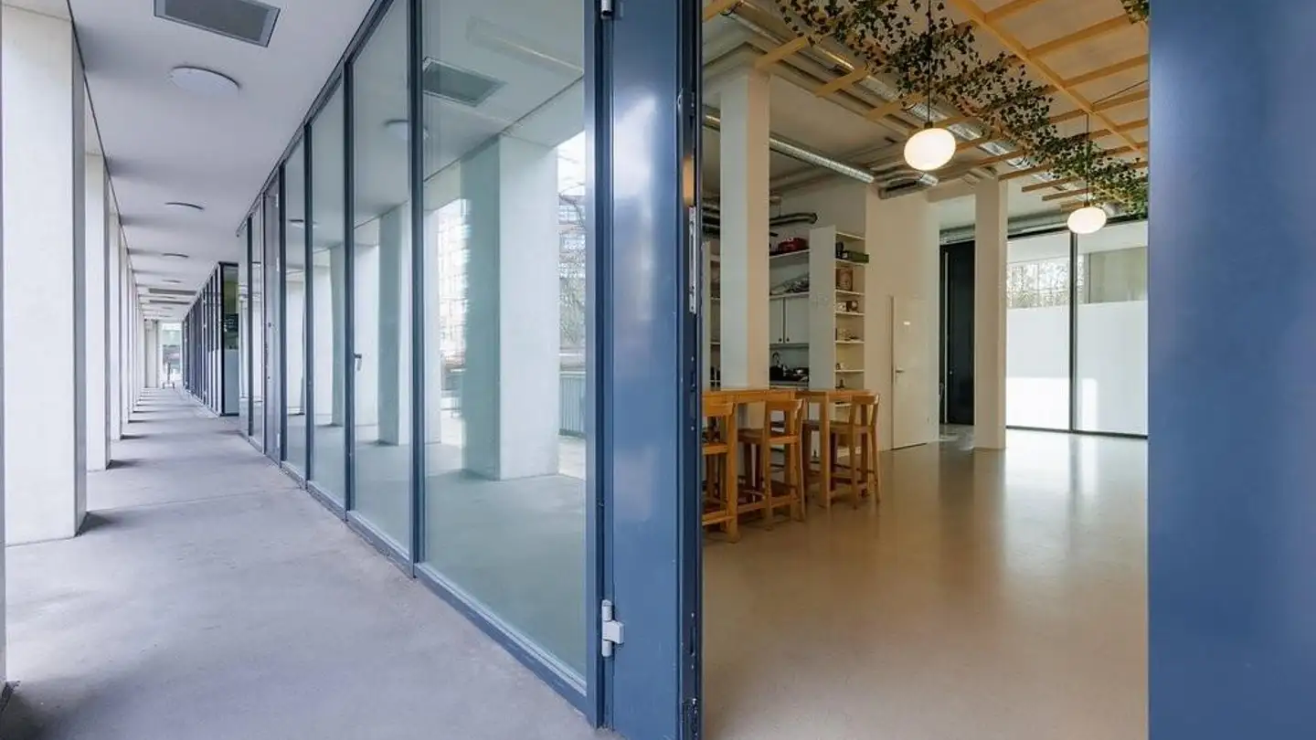 Commerciale in affitto - Emil-Oprecht-Strasse 3, 8050 Zürich - Foto 2