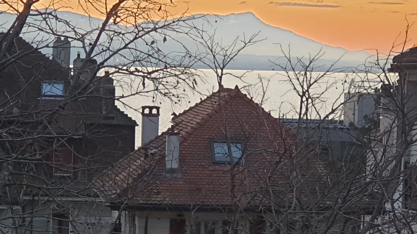 Appartamento in affitto - Avenue Du Mont-D'or, 1007 Lausanne - Foto 2