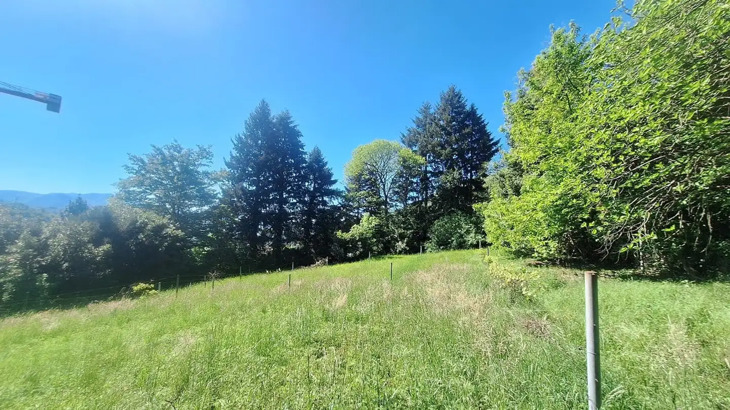 Constructible plot for sale - 6900 Lugano - Photo 2