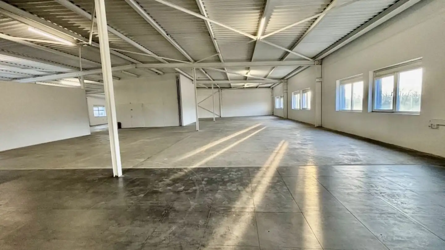Grande magazzino in affitto - 1030 Bussigny